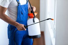 Best Pest Control for Multi-Family Homes  in Verde Village, AZ